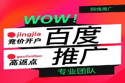 短视频信息流广告投放策略与案例分析